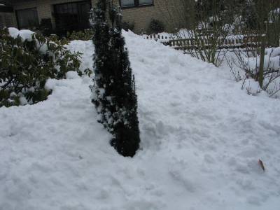 snow hills 2